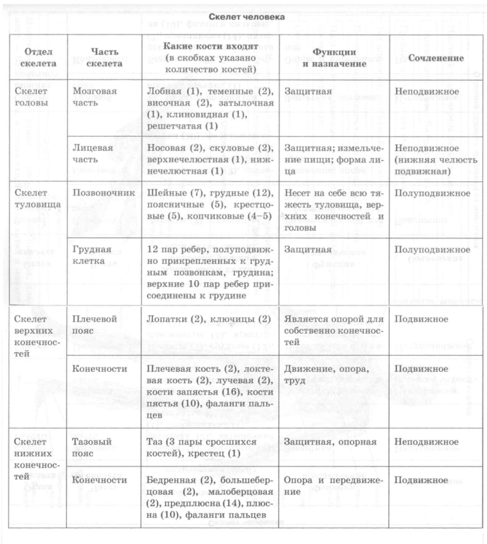 Глубина введения филлера