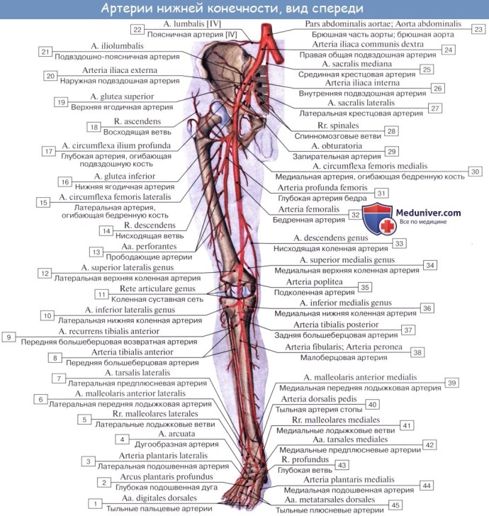 Переписка с девушкой