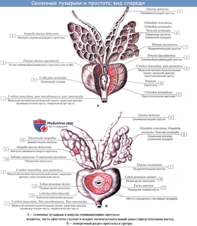 Ты заходите если что