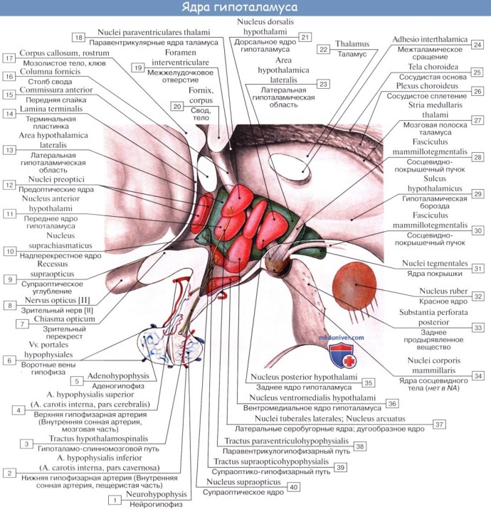 Условные обозначения в схемах вязания крючком
