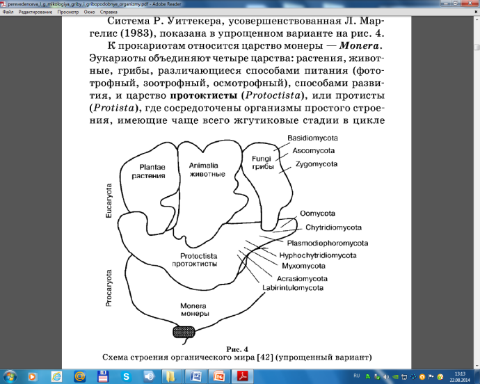 Hyphochytridiomycota