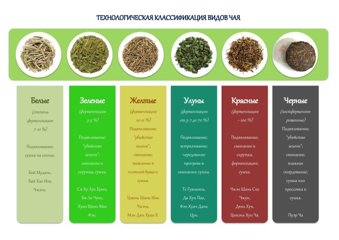 Классификация зеленого чая