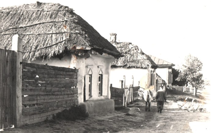 Михайловский музей Волгоградская область