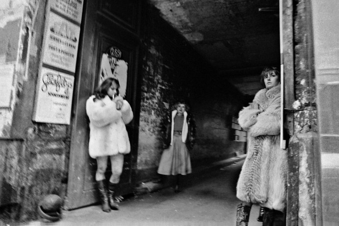 Бордели в 19 веке в царской России