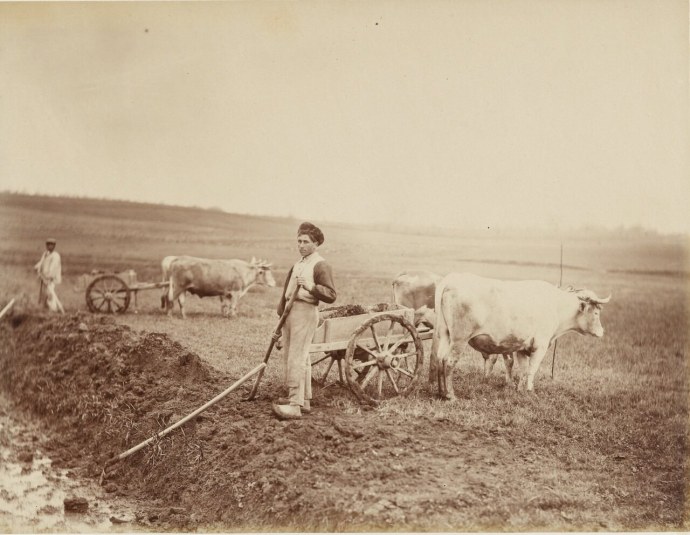 Крестьянин 1870-х