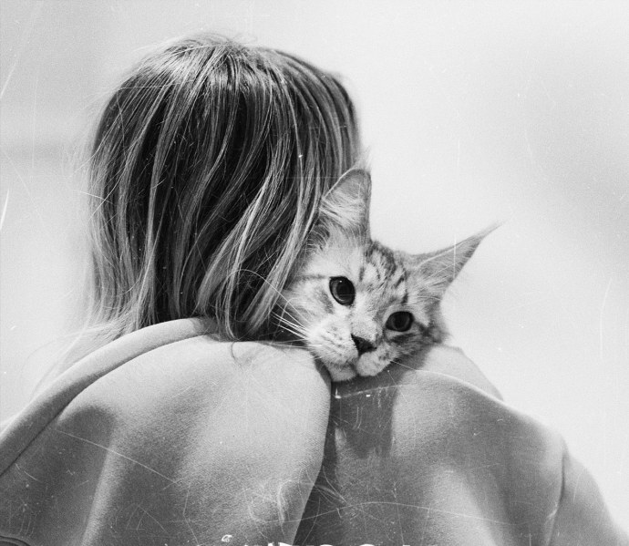 Марина Жадан Краймбрери