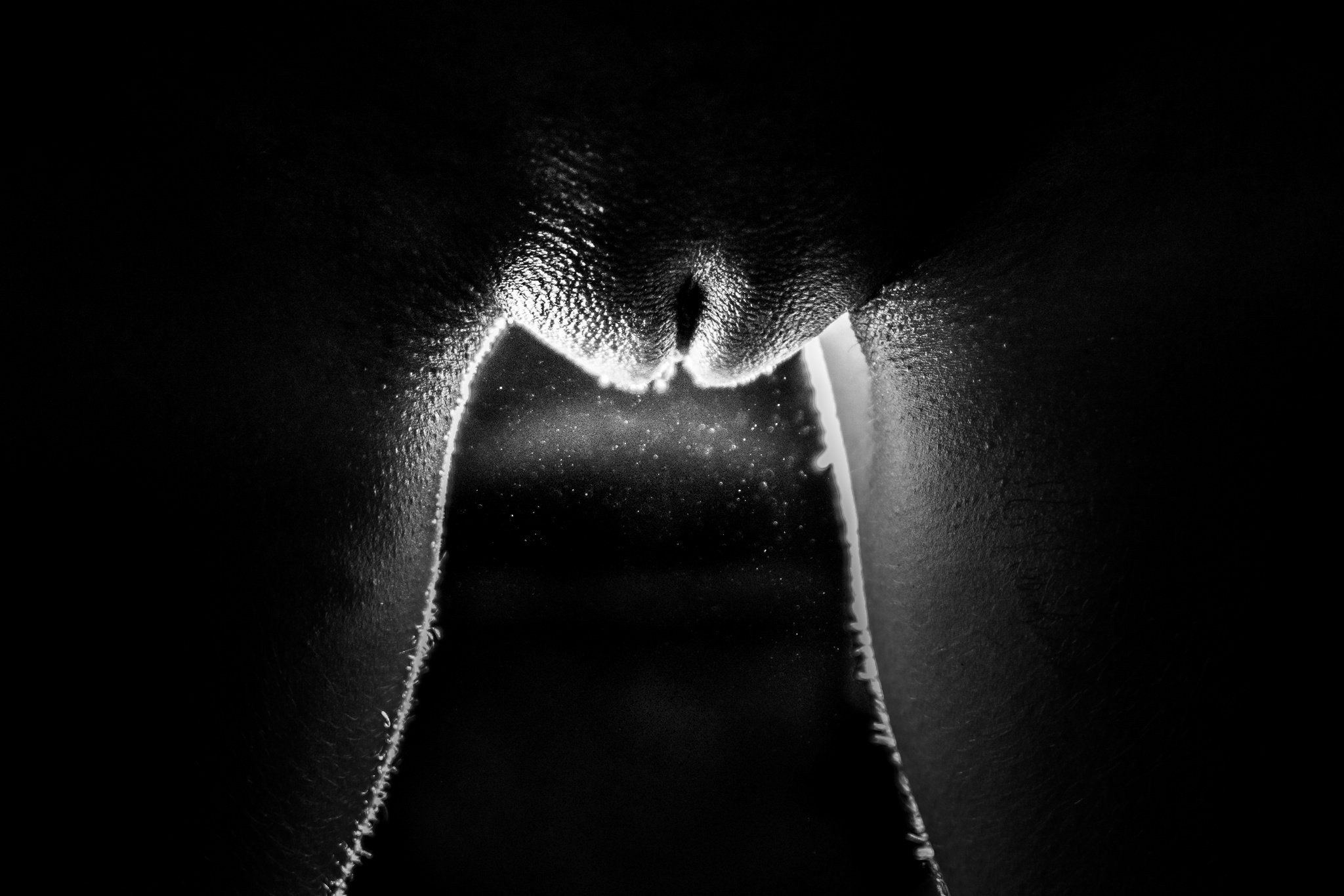 черно белая эротика киски (120) фото