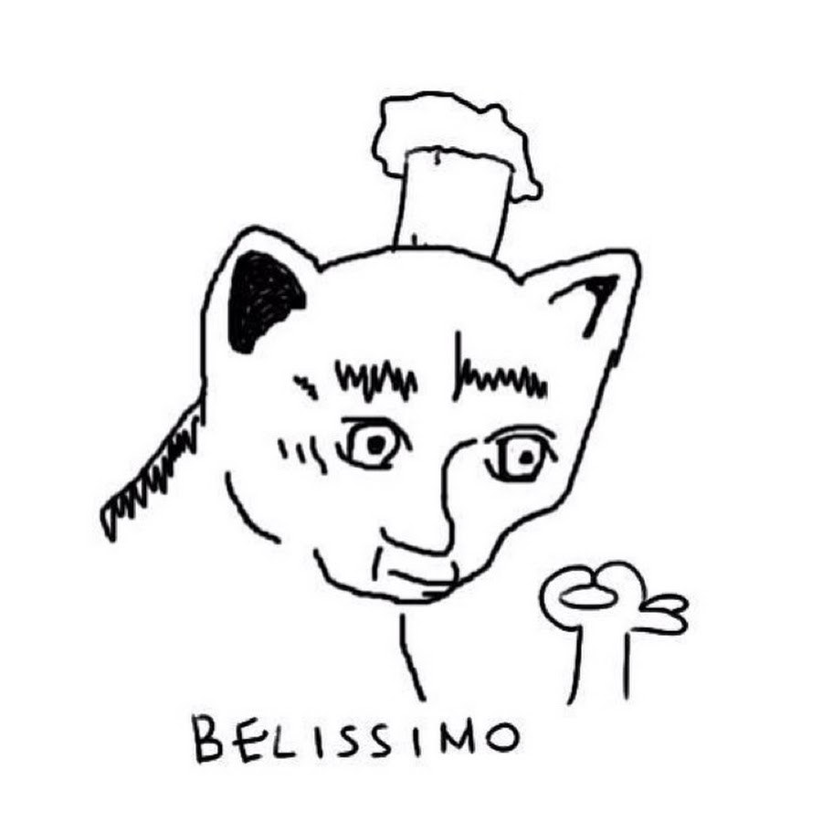 Дарья Шейко раса