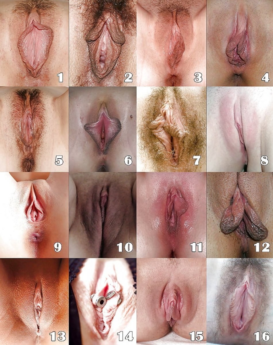 Красивые женские гениталии (58 фото) - секс фото