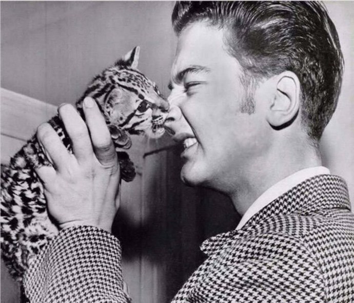 Адам Оцелот и ева Элфи свадьба