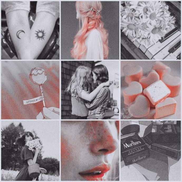 Ким Кардашьян Алена Омович