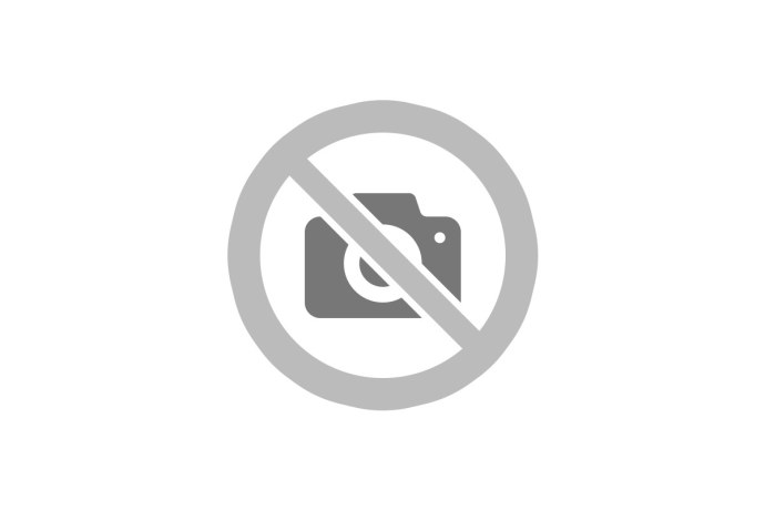 Алла Ковнир и Олег Молчанов