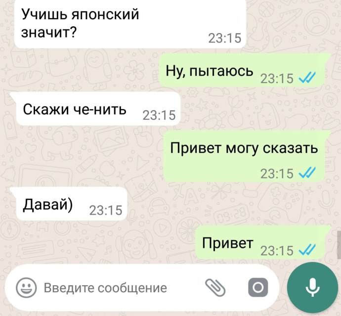 Алла Довлатова 2022