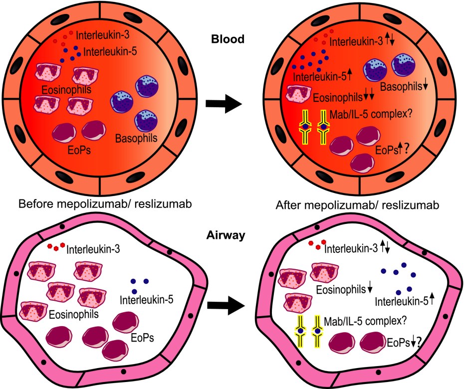 Порнофильмы молодость и панк рок