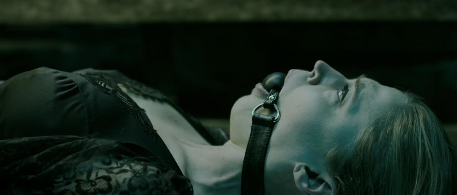 Хилари Суонк порнозвезд