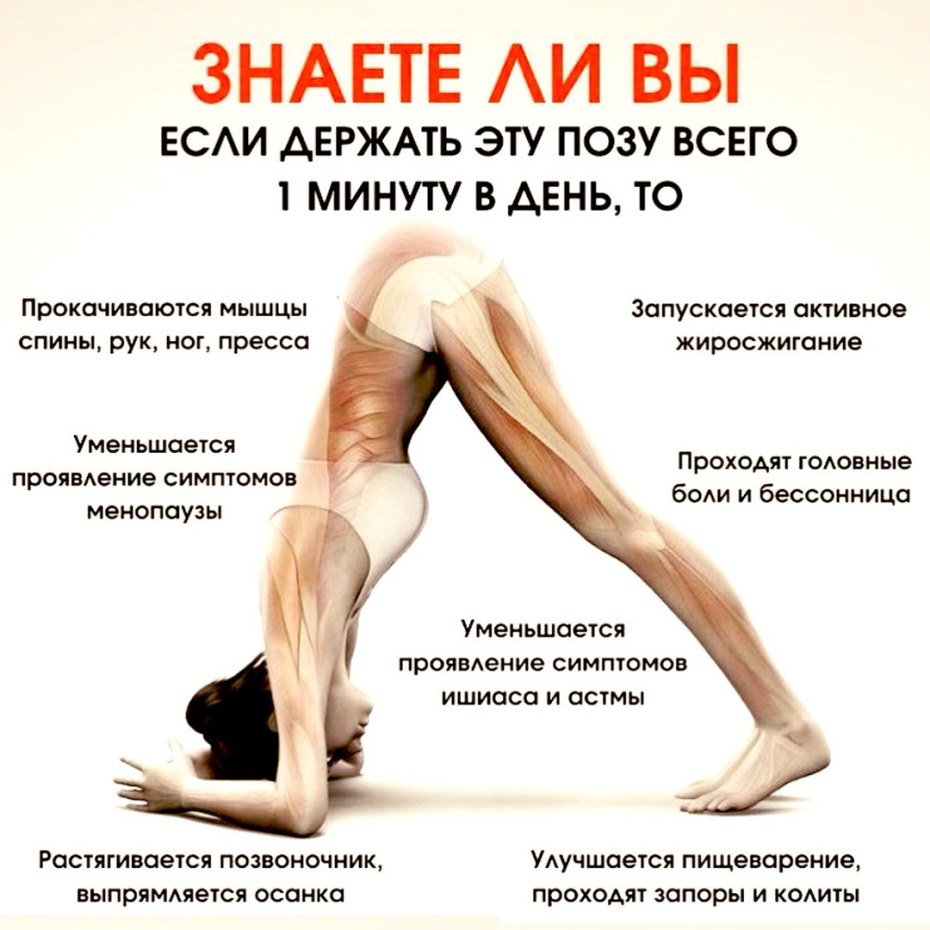 Девушки на календарь 2022 ххх