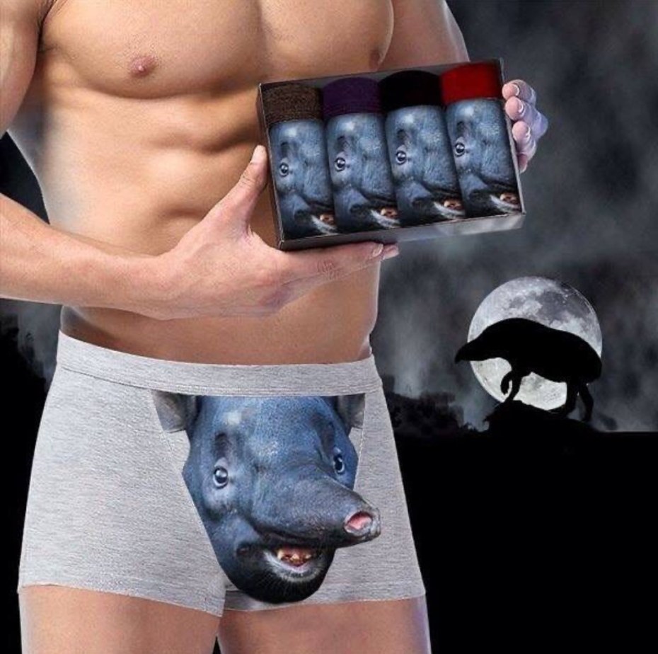 Трусы с волком