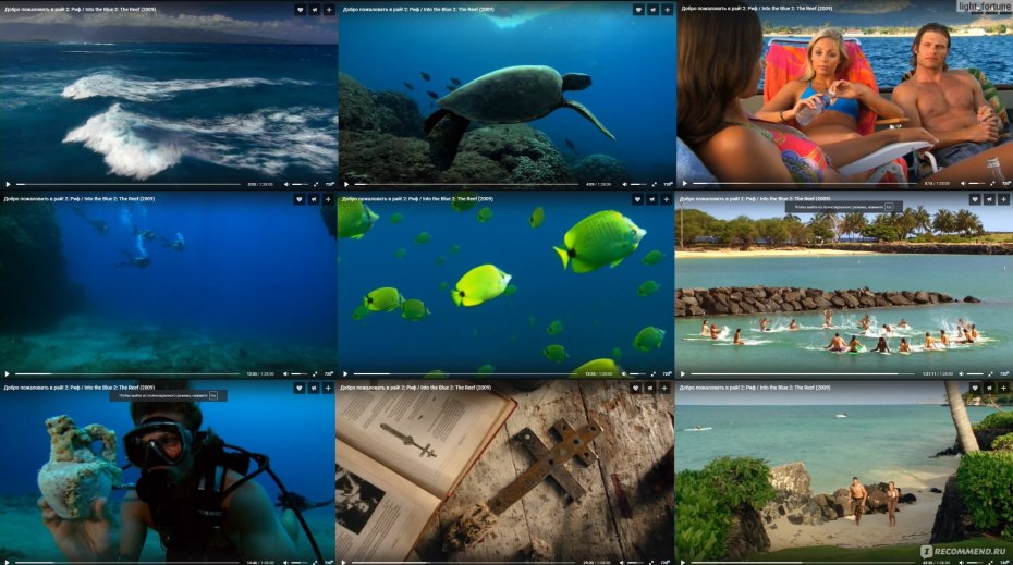 Midnight Paradise игра