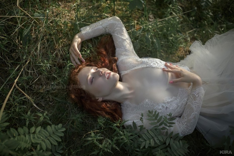 PV контроллер заряда ls1024rp