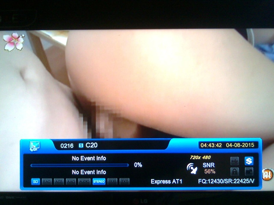 Екатерина Березовская naked News