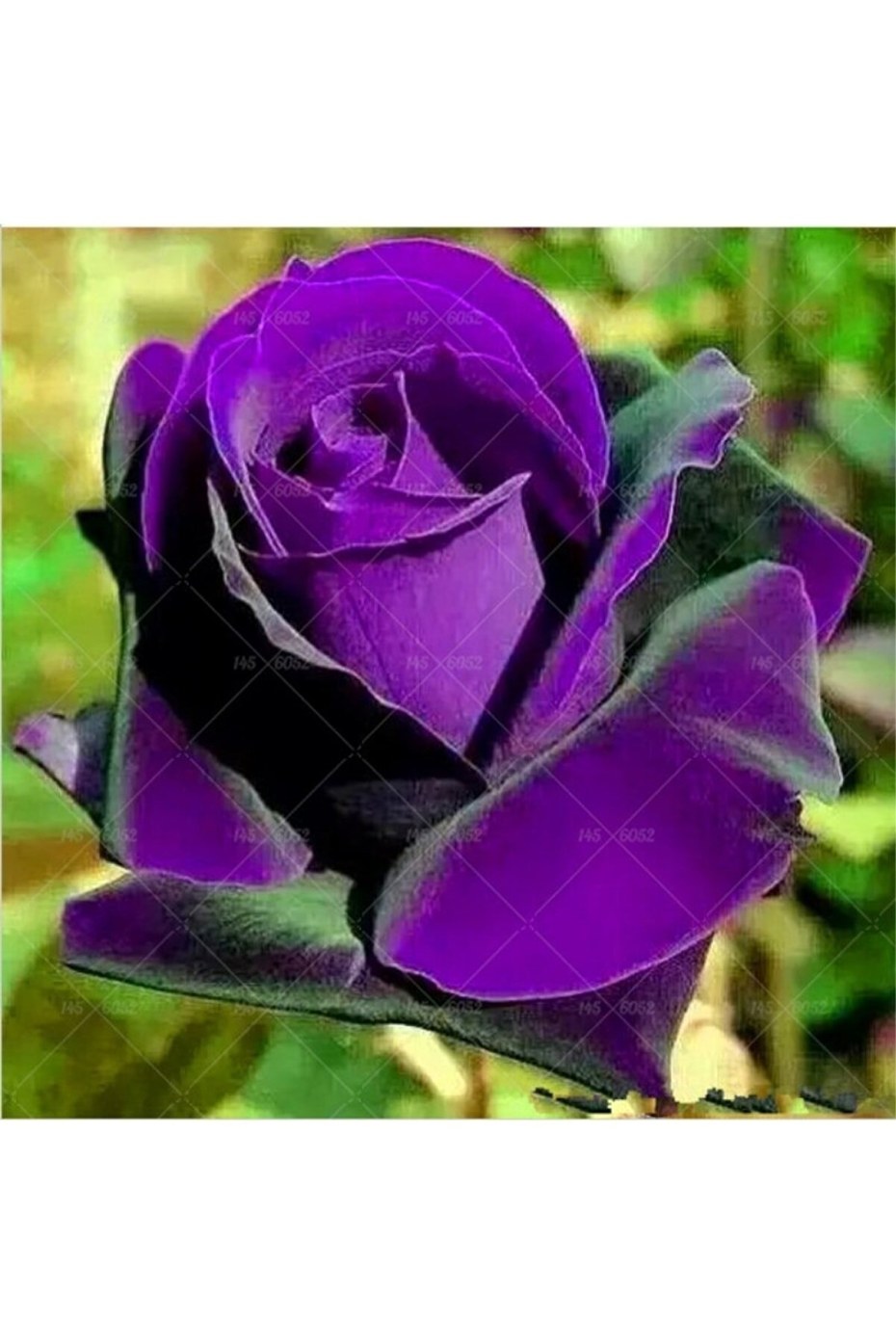 Рейтинговые списки абитуриентов