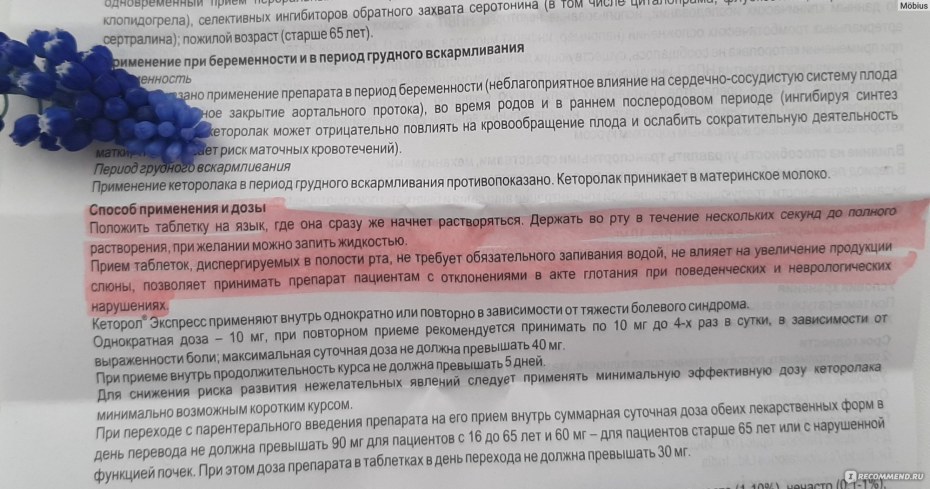 Соколова Анна Николаевна