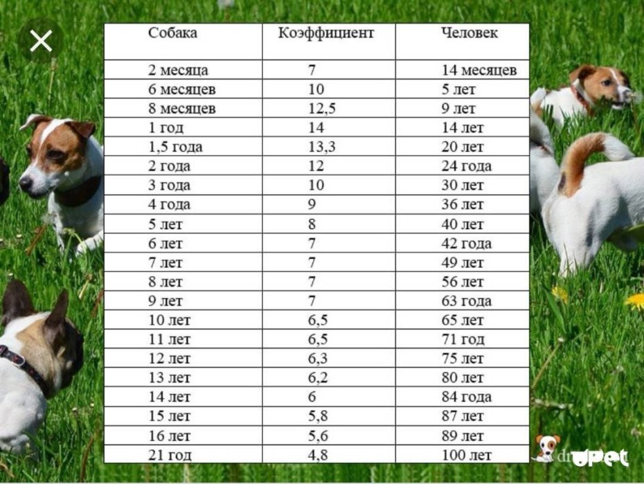 Мини сочинение