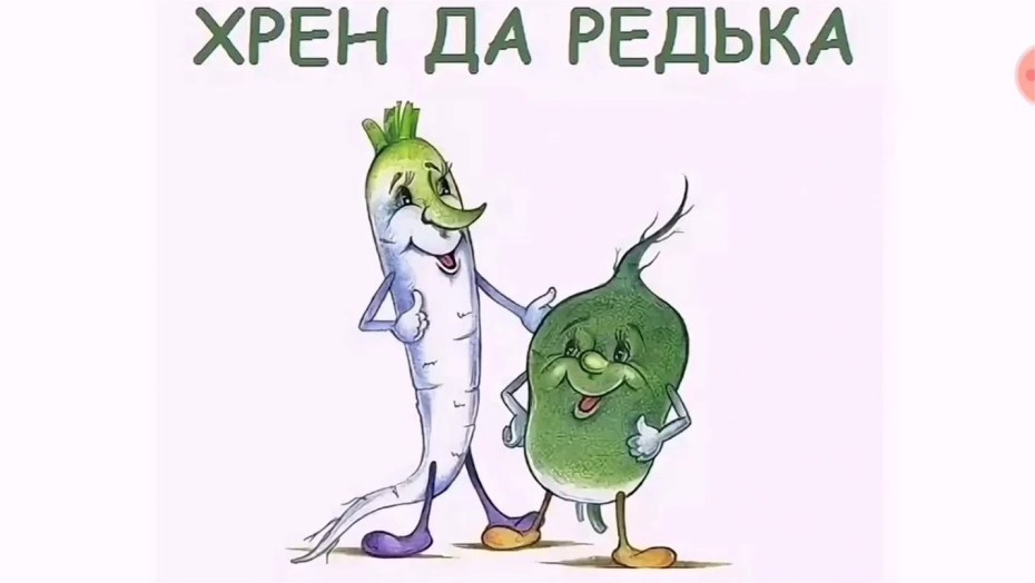Смешные мемы с порноактрисами