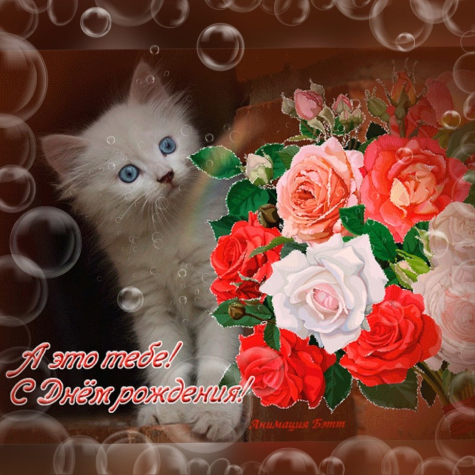 Александра ребенок в сериале школа