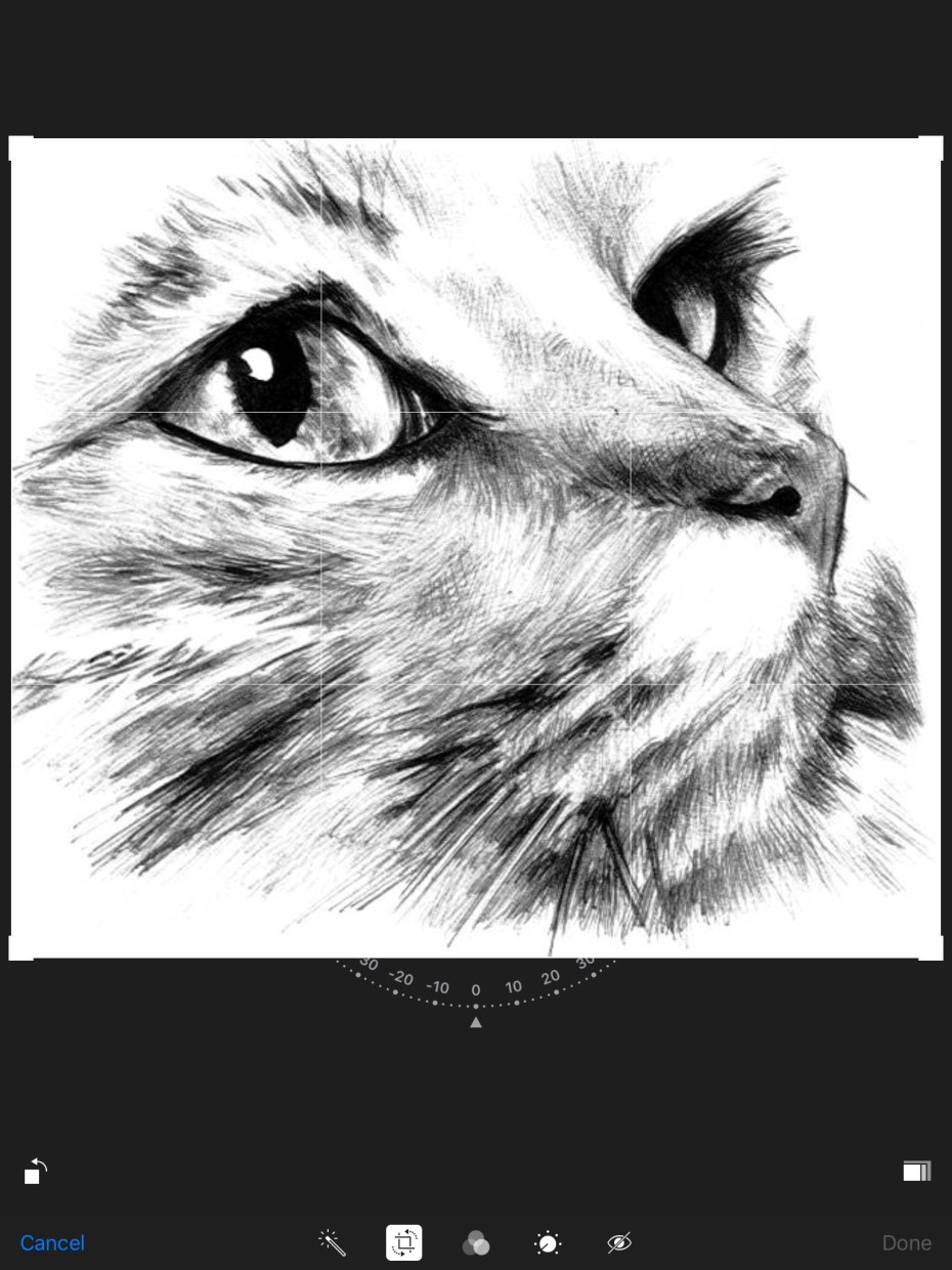 Девочки выложенные в интернете