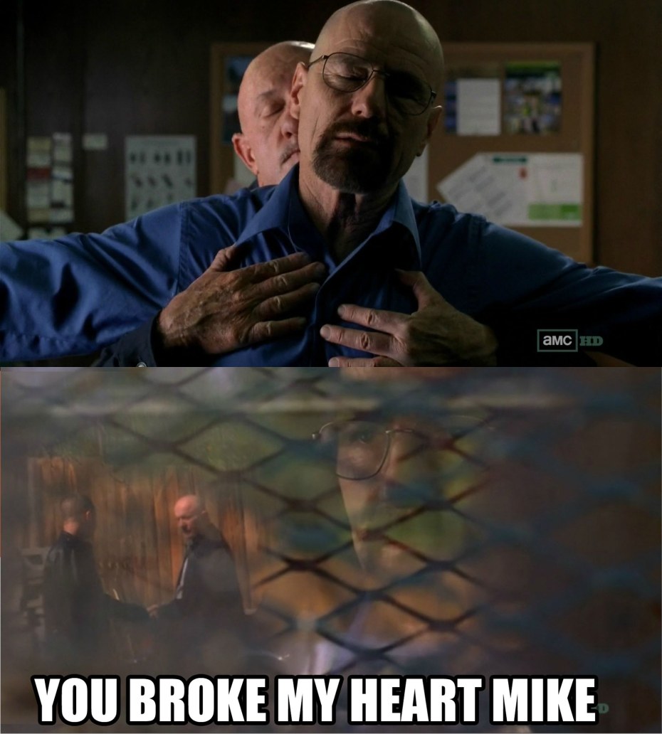 Уолтер Уайт и Майк