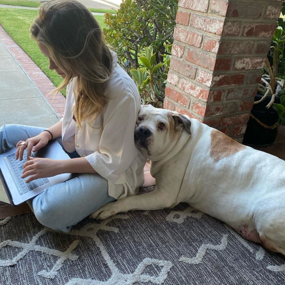 Джэйд Петтиджон 2021