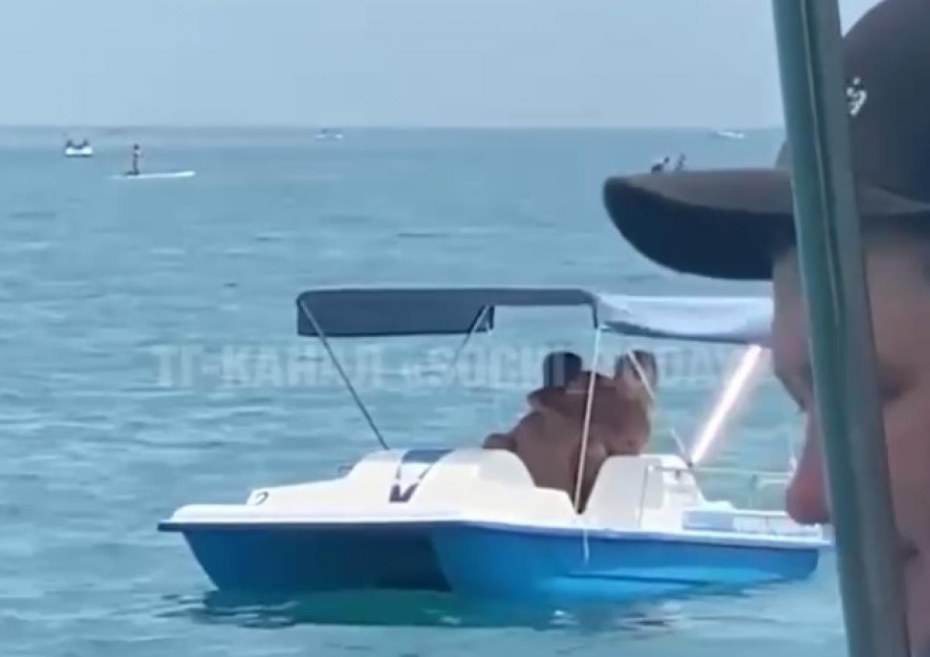 Море в Сочи сейчас