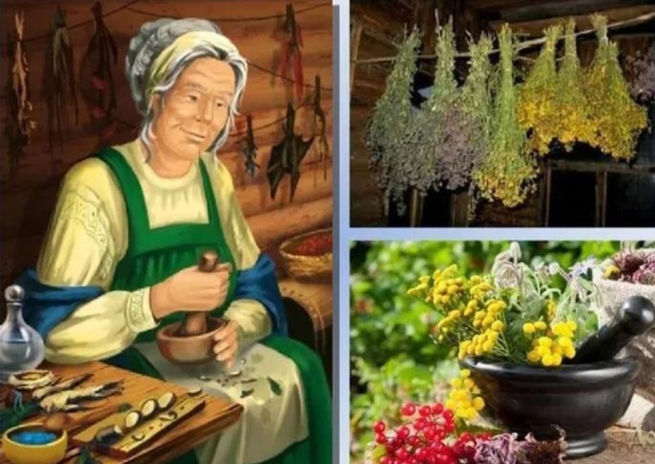 Богдана Ильина травница