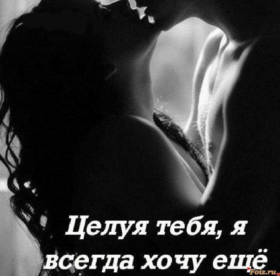 Референс фурри волка лайн