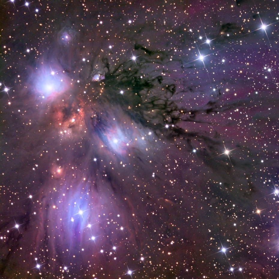 Анна Глаубэ Maxim