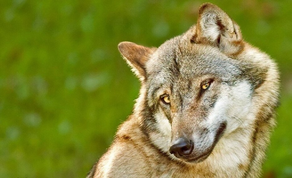 Анекдоты про отношения мужчин и женщин