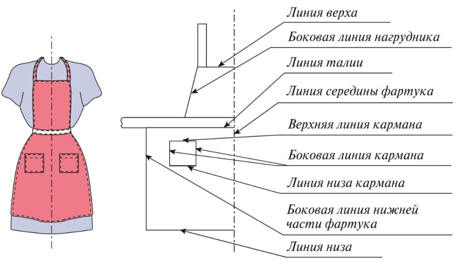 Мерки для чертежа фартука 5 класс технология
