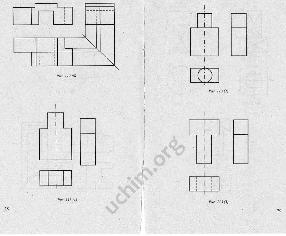 Сорокина Мария Алексеевна