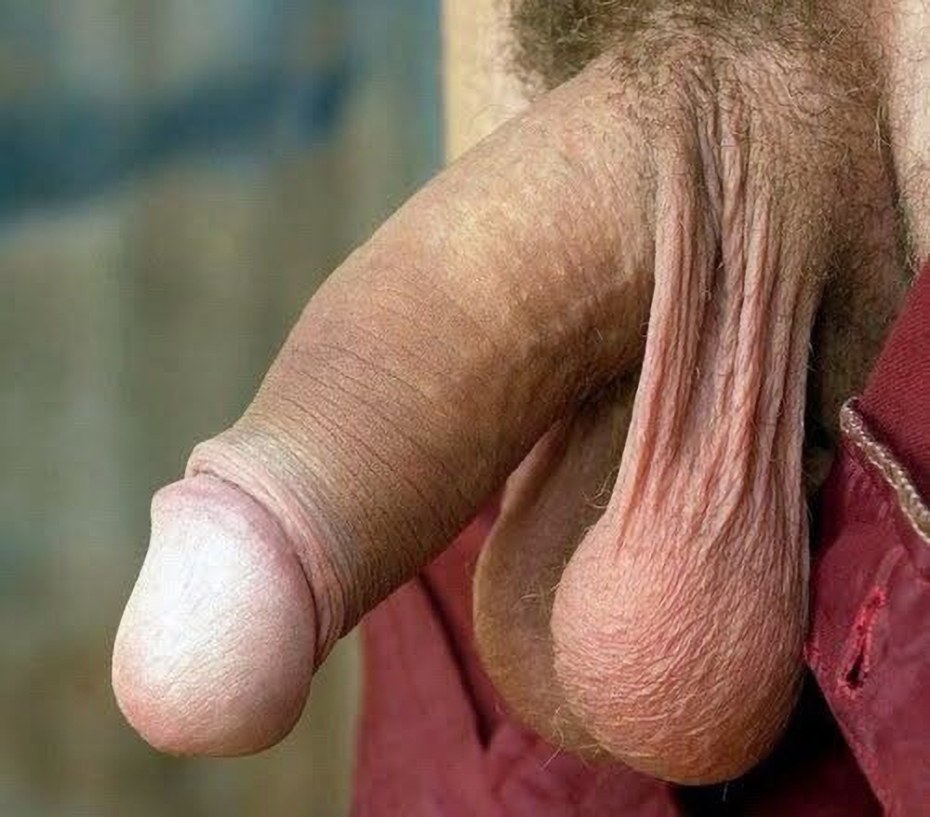 Красивый половой член висячий