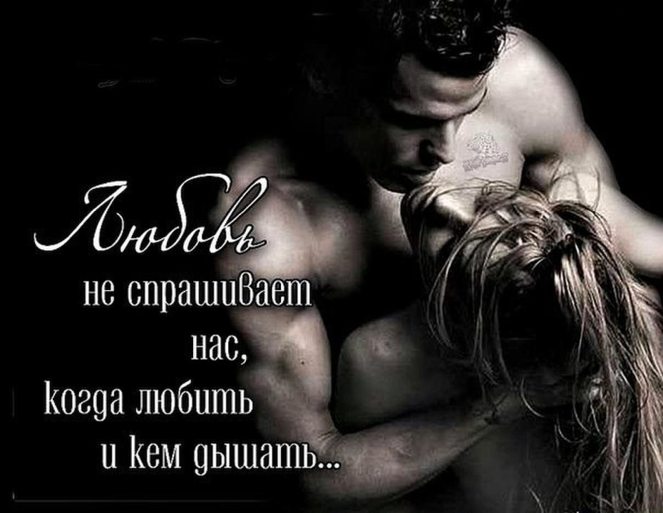 Надежда Бушкова