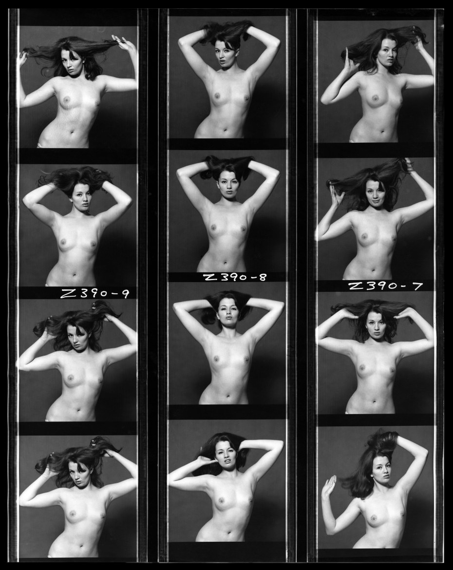 Дебби Харри эротические