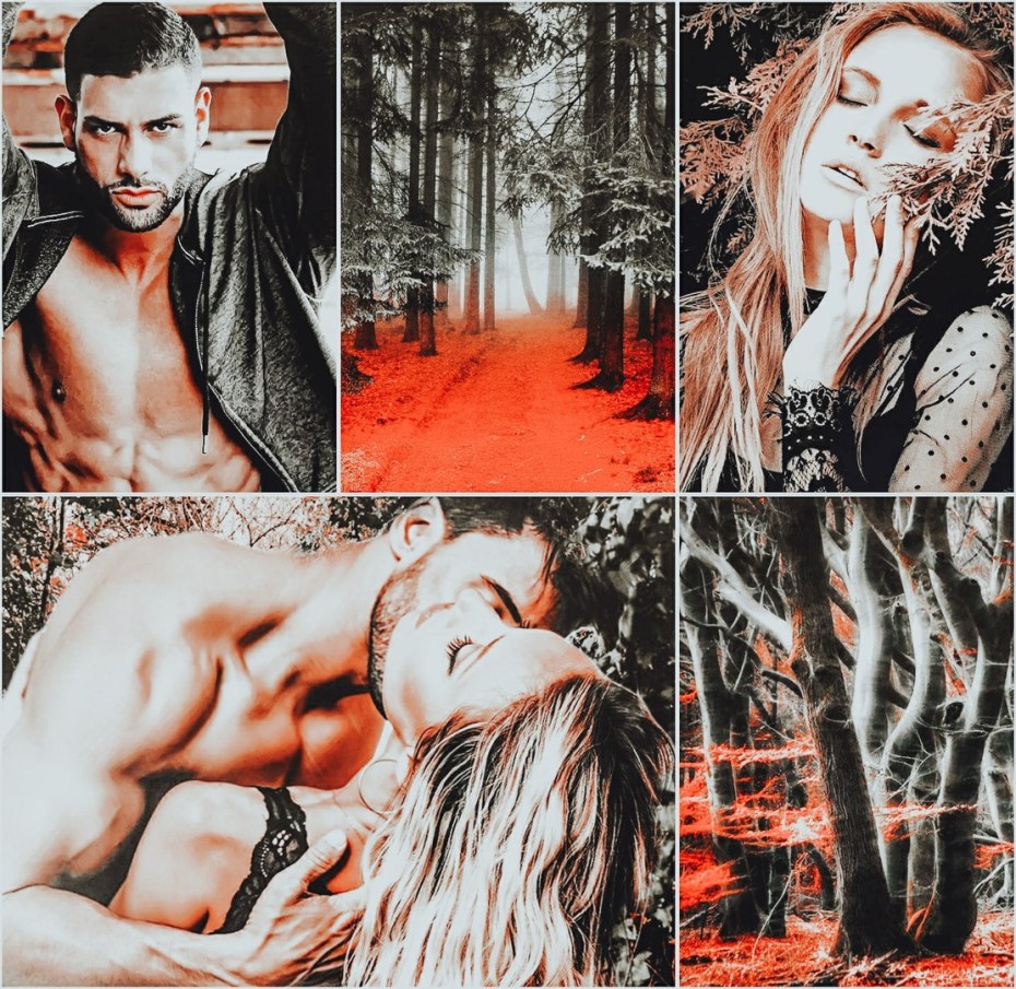 Даша и медведь Анна Владимирова