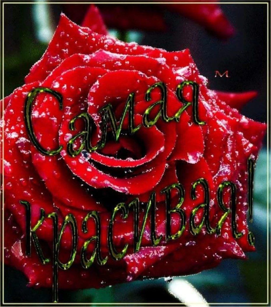 Розы для любимой