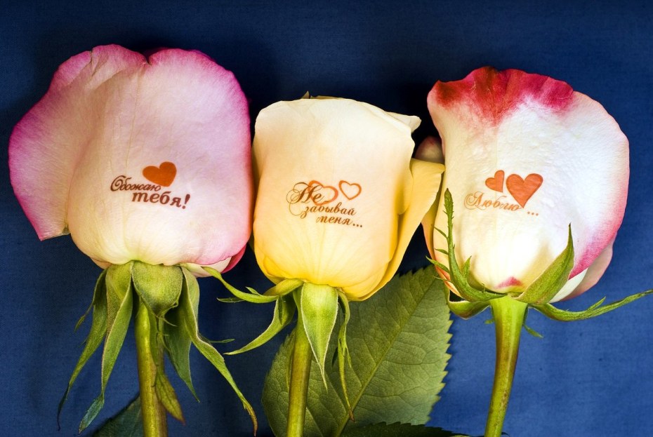 Надпись цветы