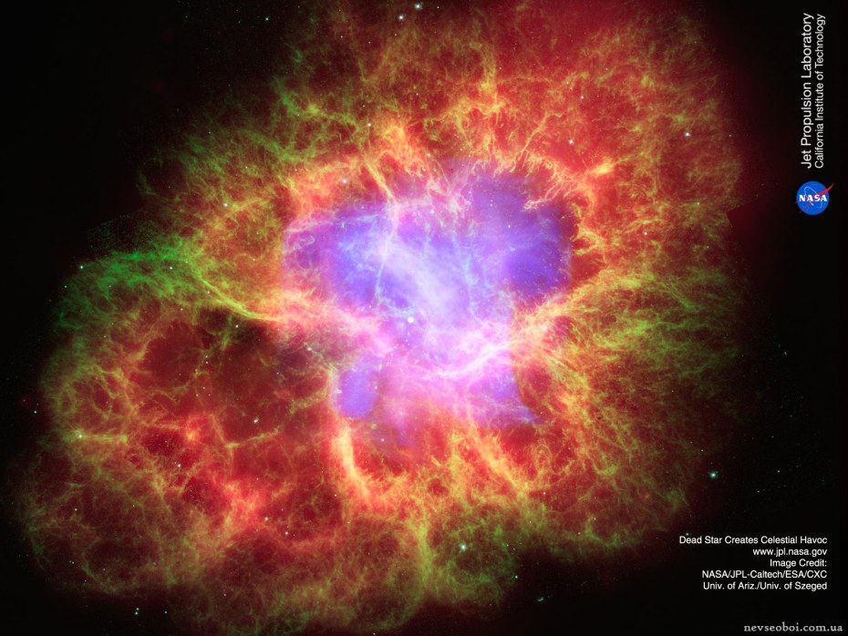 Дима и Ангелина