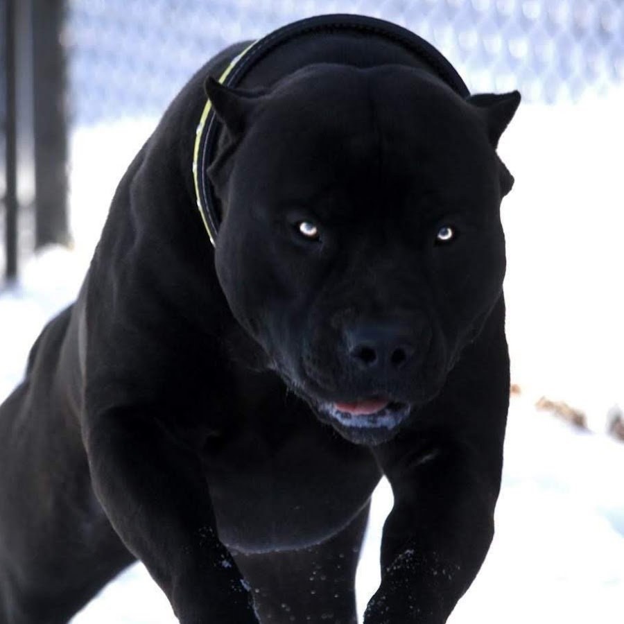 Кастинг «Мисс Новочебоксарск