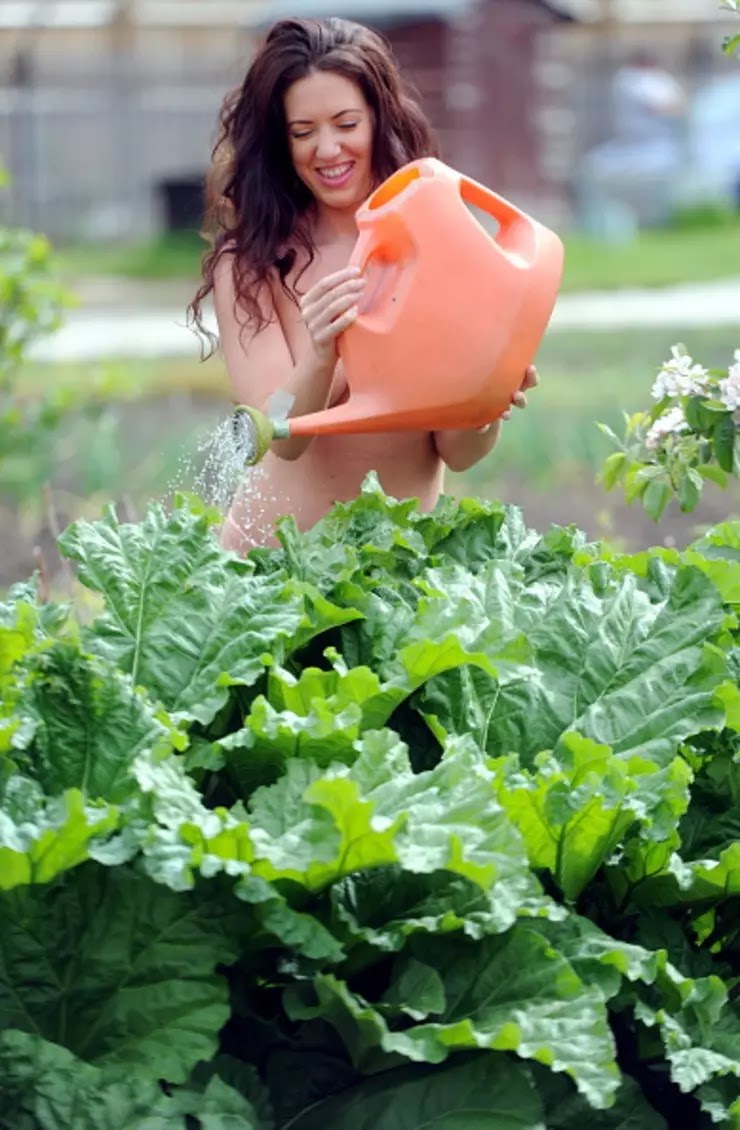 Сказка анимация