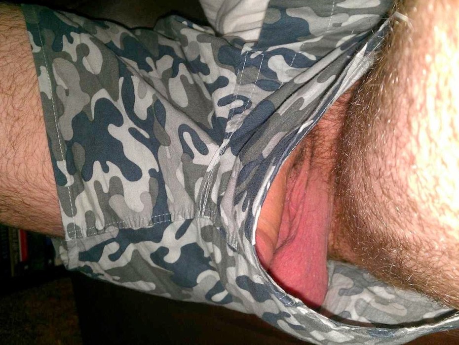 Член вываливается из трусов