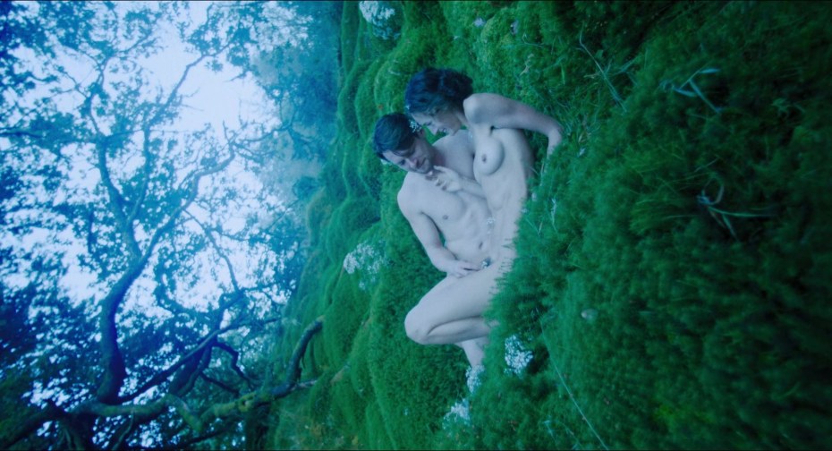 Lady Chatterley's lover 1981